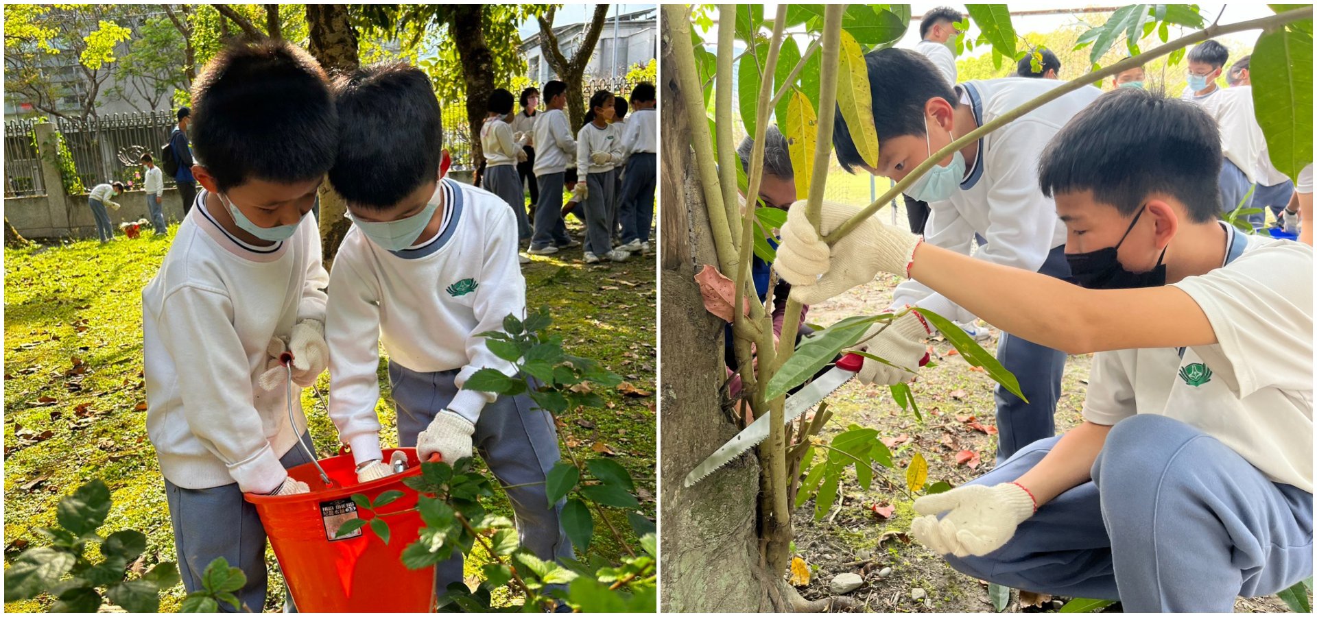 （左圖）一年級小朋友認真地為灌木叢施肥(右圖)五年級同學兩人合作共同修剪樹枝