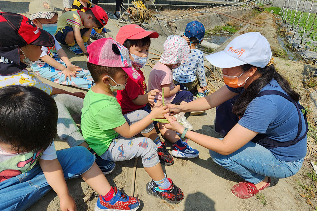 教保老師讓幼童觸摸認識四季豆。