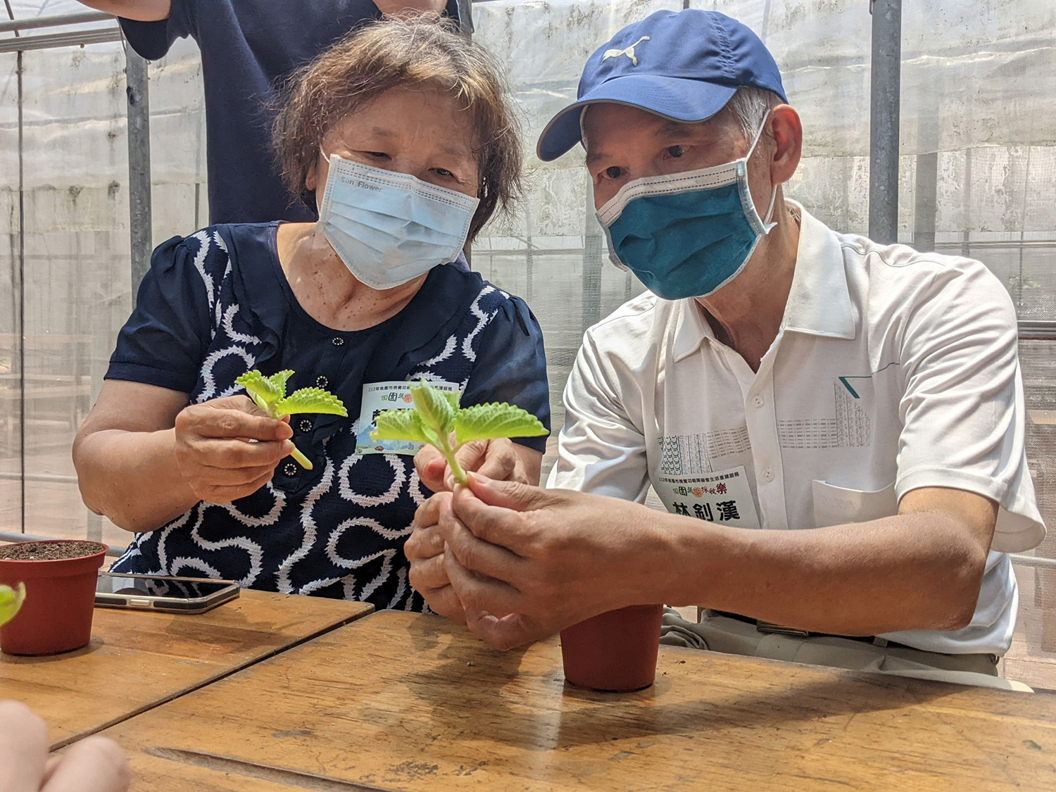 透過引導，林釗漢伯伯與太太開心的體驗種植香草植物、蔬菜摘採、手洗愛玉等活動。(伊甸提供)