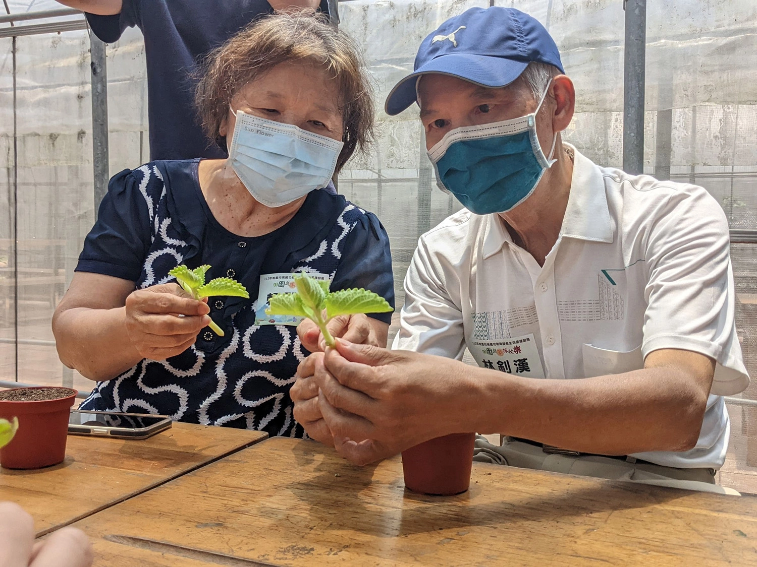 透過引導，林釗漢伯伯與太太開心的體驗種植香草植物、蔬菜摘採、手洗愛玉等活動。(伊甸提供)