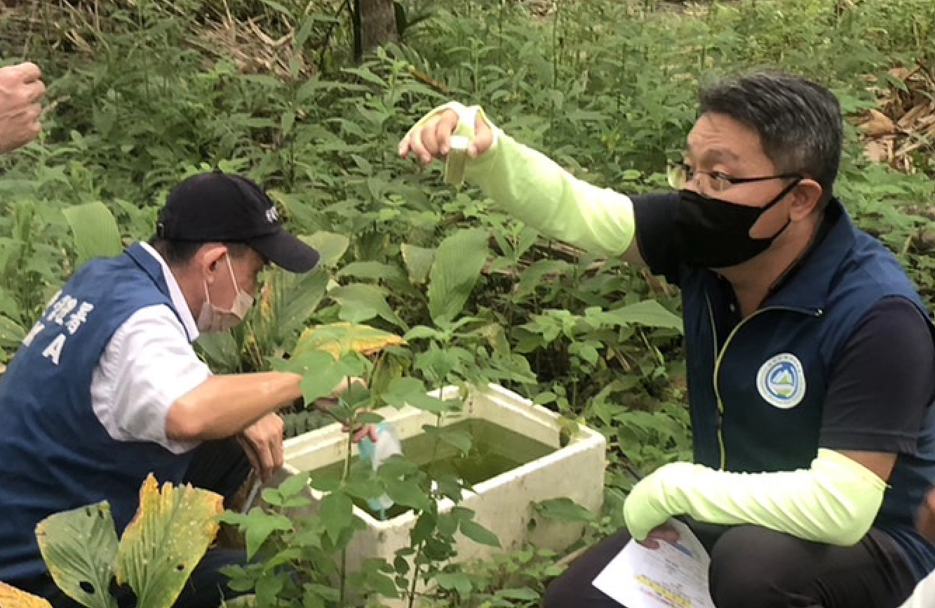 督察人員於廢保麗龍箱積水中發現孑孓