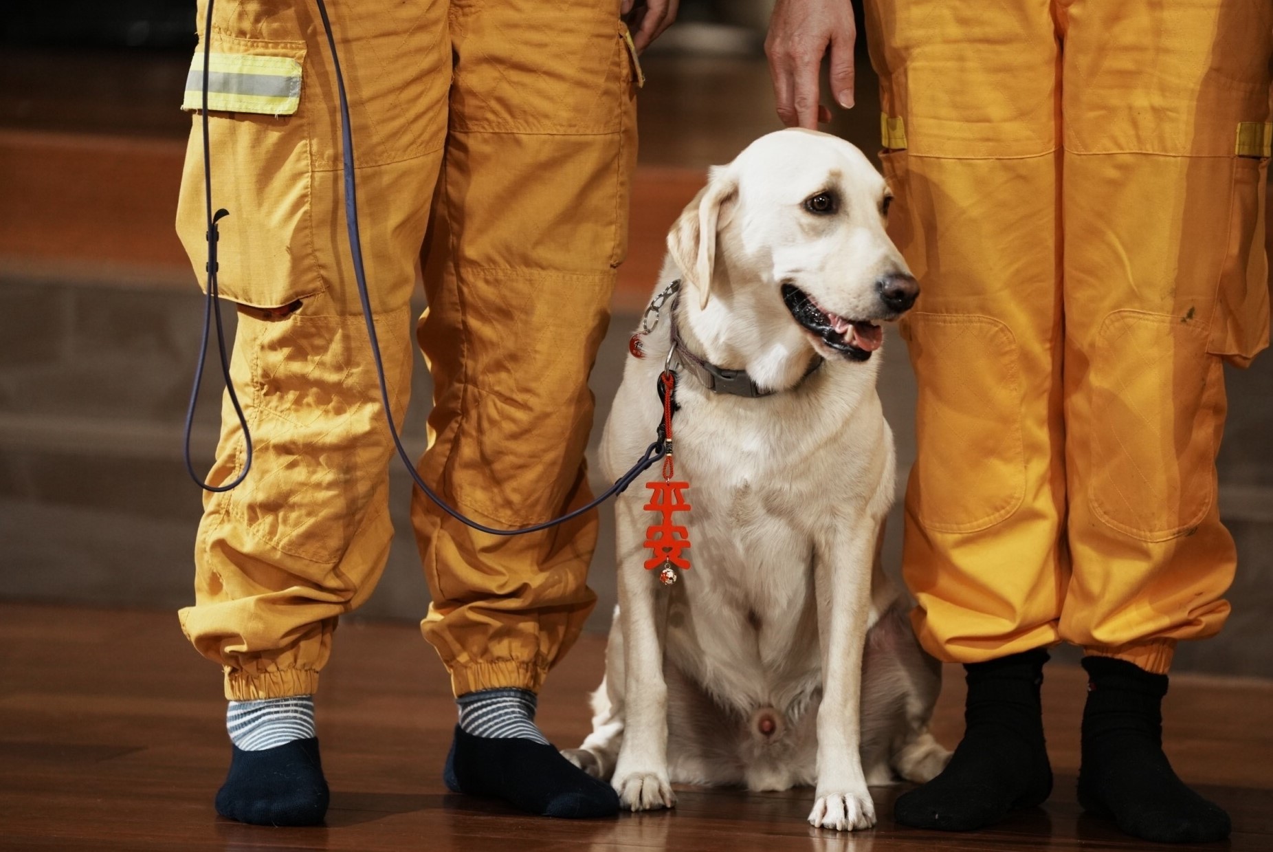 花蓮縣消防局搜救犬Hero，跟著花蓮縣消防局特搜隊代表一起站上花蓮靜思堂安心祈福會上聆聽隊員代表分享。