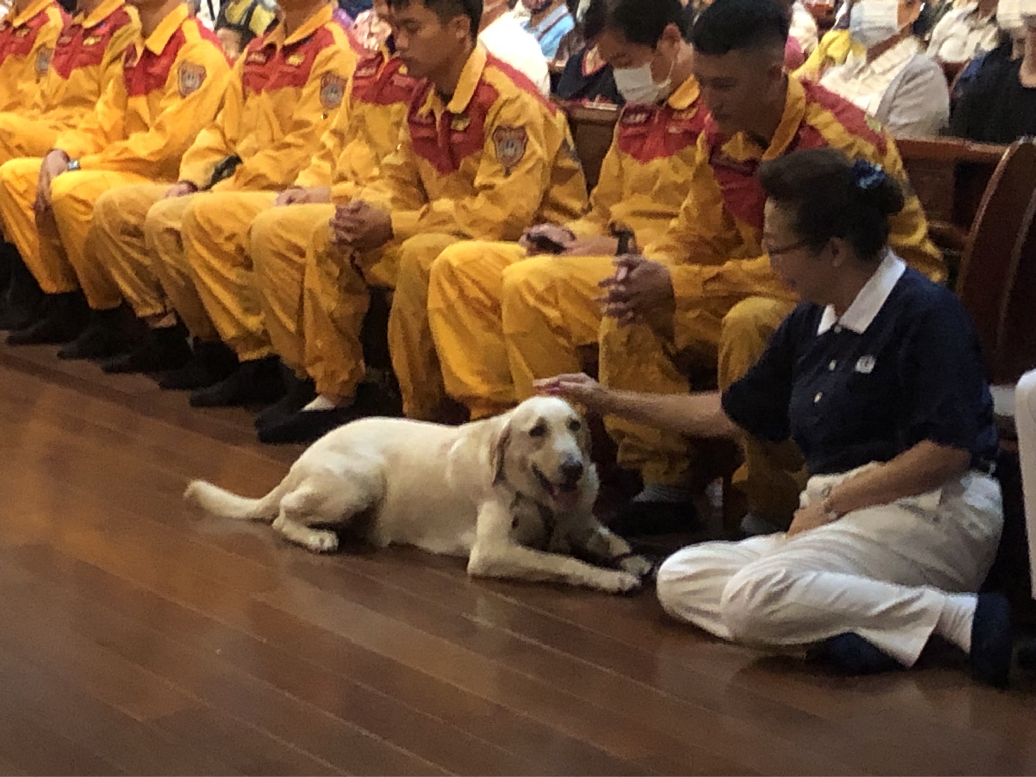 花蓮縣消防局搜救犬Hero，跟著花蓮縣消防局特搜隊代表一起參與靜思堂祈福會，在會場內全程安靜乖巧的安住在當下。