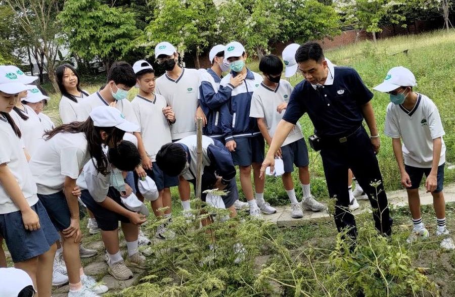 師伯生動有趣介紹藥草園裡的各色植物。