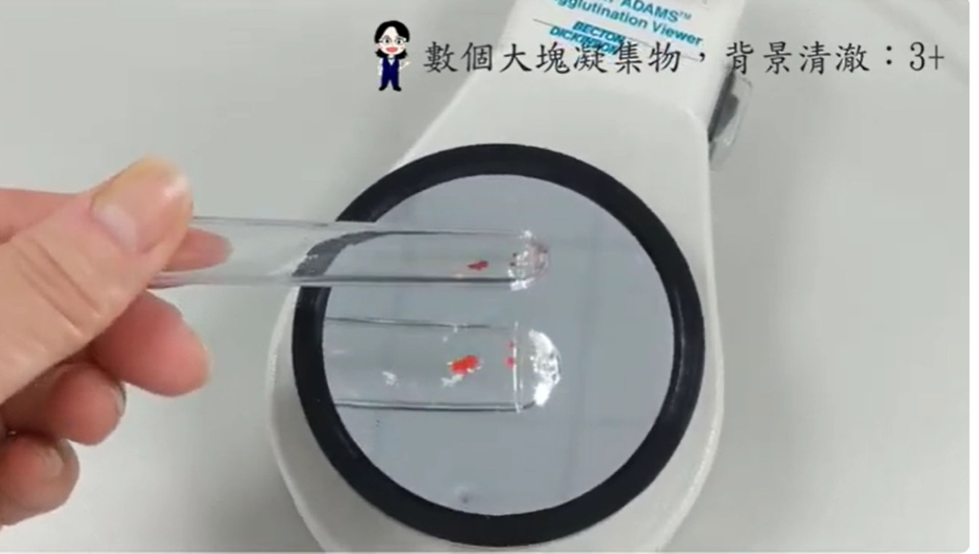 透過數位錄影可以清楚看到實驗過程，還可以回看