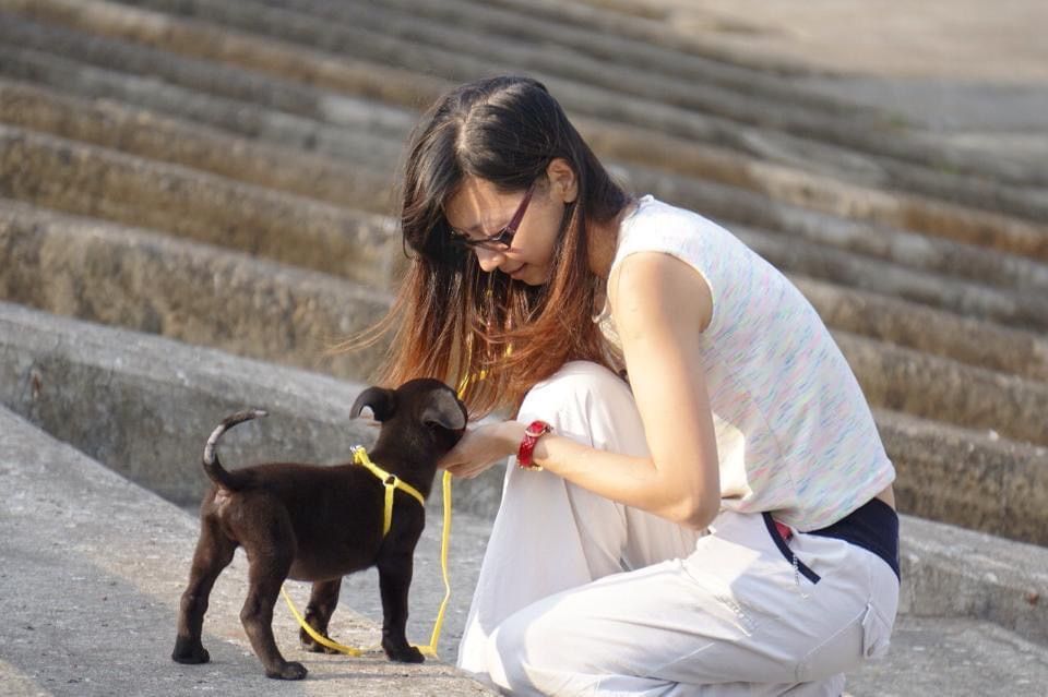 邀您一起共同朝動物友善城市前進