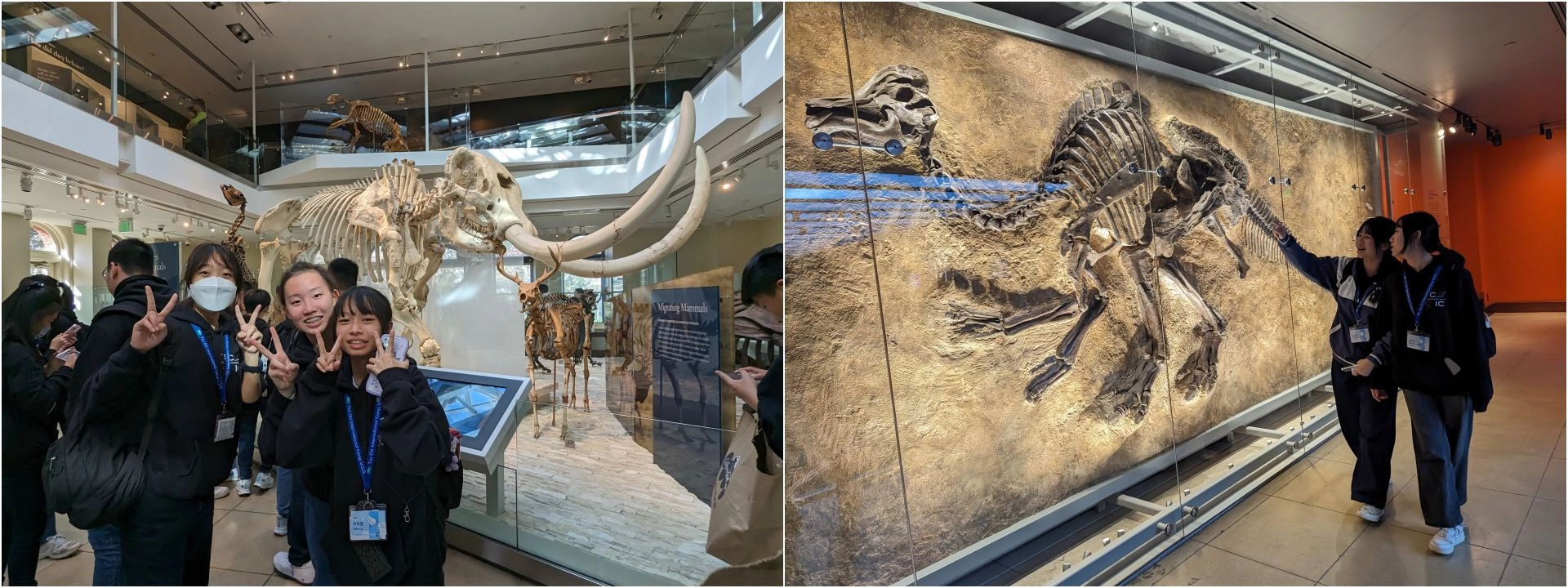 自然歷史博物館與化石合影。