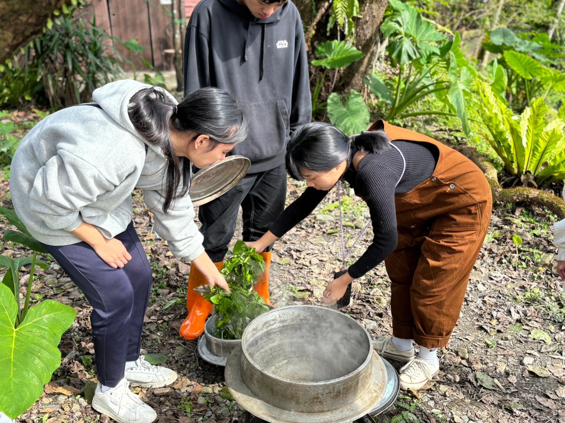 學生學習如何烹調野菜。