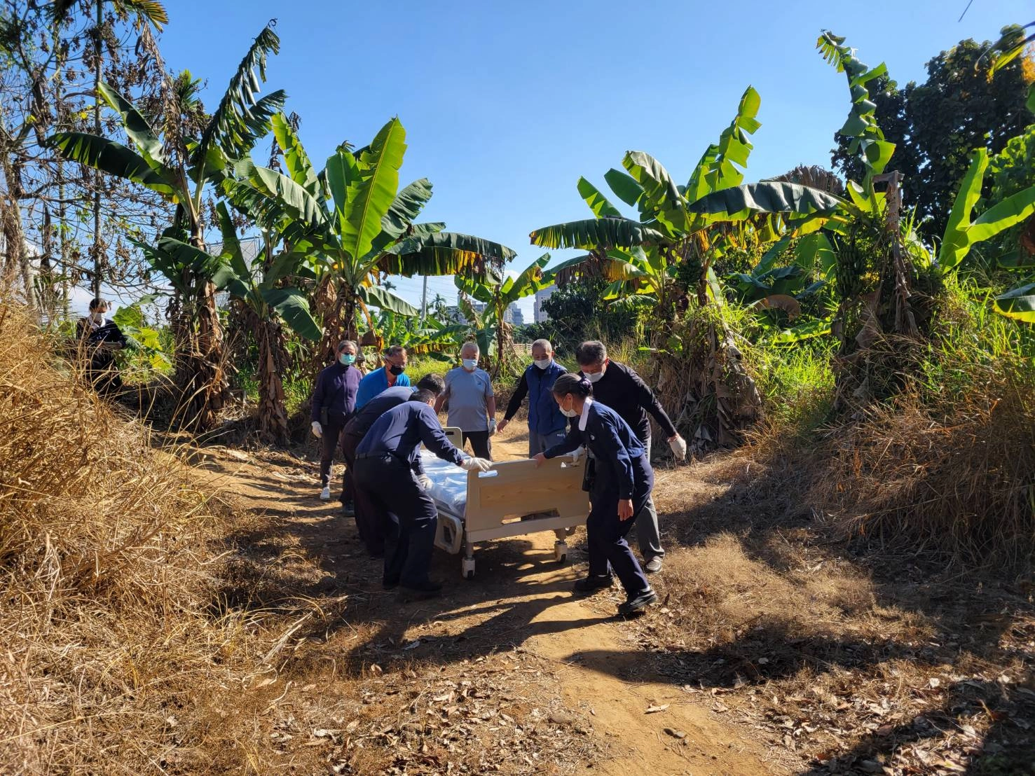 志工徒步合力搬運，經過顛簸不平的香蕉園，高低起伏較大，一路上要搬起沈重的醫療床行走。