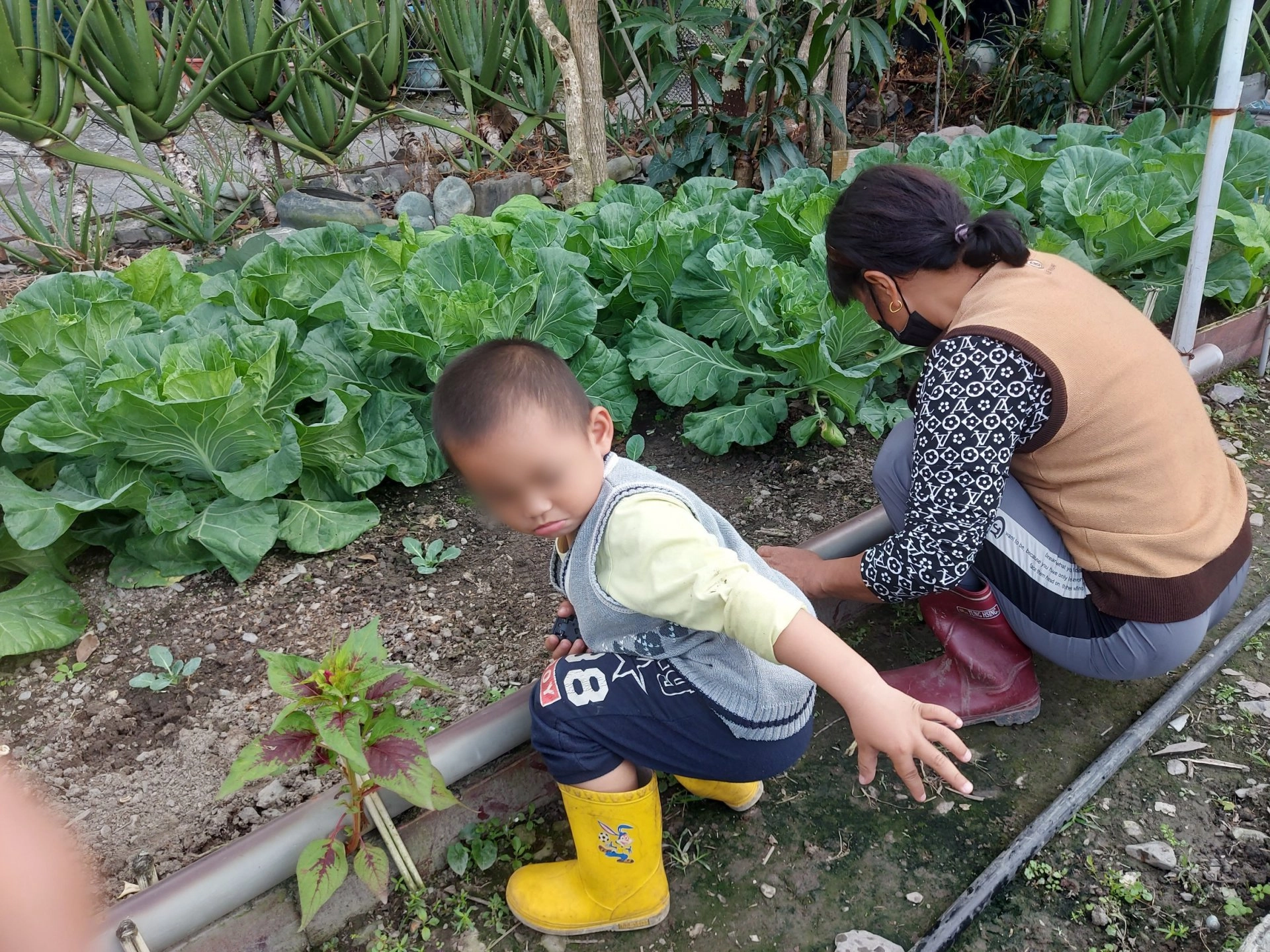 阿嬤一邊農忙還要一邊照顧年幼阿喻和弟弟。