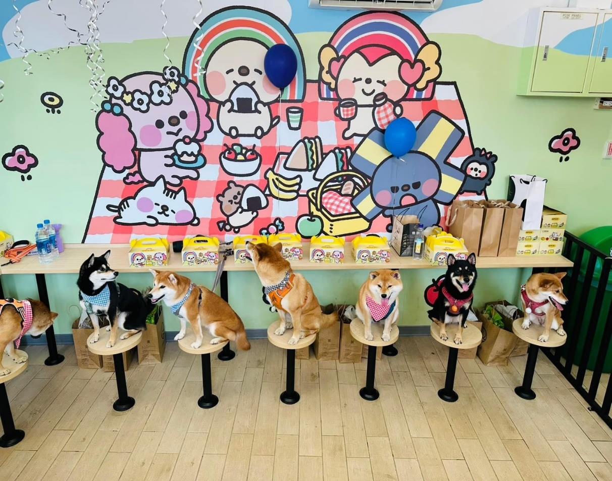 東山服務區寵物共餐區