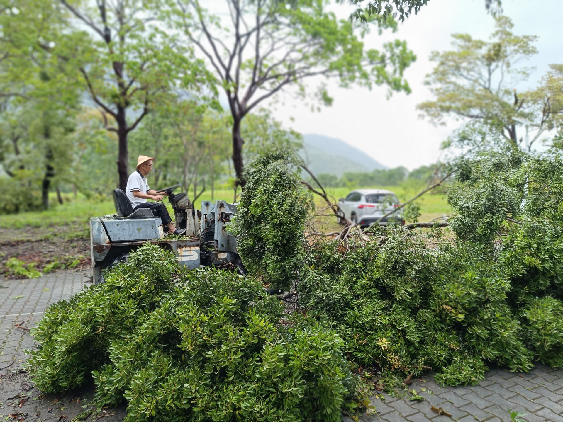 總務處同仁駕駛推土機，務必先清出學生必經的交通要道。