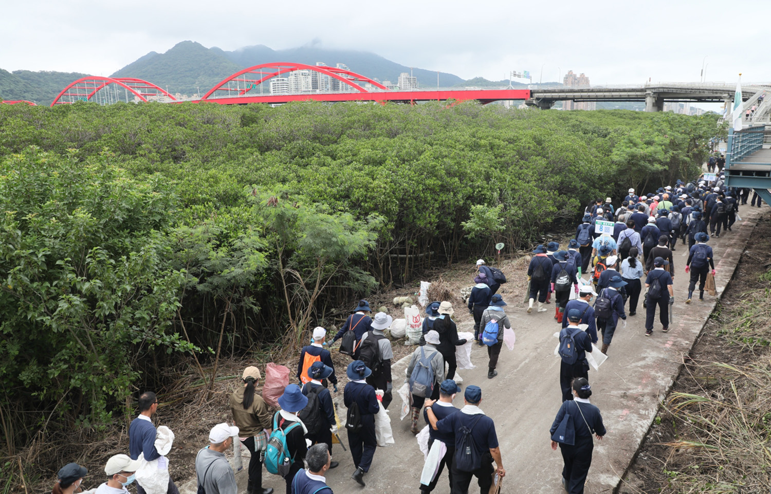 端午連假首日一早，關渡碼頭淡水河畔邊人潮陸續匯集淨河灘，恢復紅樹林美麗水岸風光。