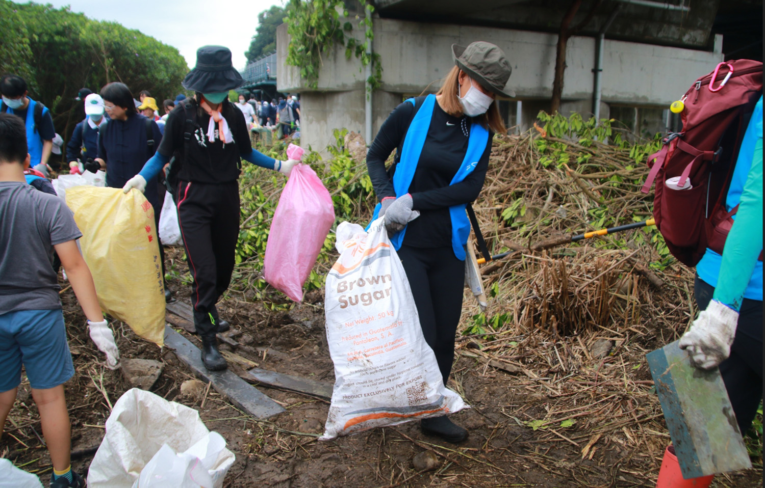 淡水河口的紅樹林泥濘地攔下許多垃圾，這些垃圾就一直在樹林中跟水筆仔、彈塗魚、招潮蟹共生。