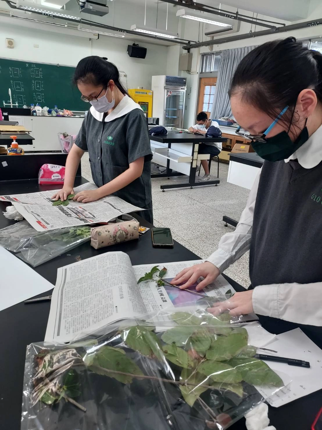 多元選修課程中，到戶外觀察植物，收集拓印葉子，藉由不同的媒材創作，培養生活美學。