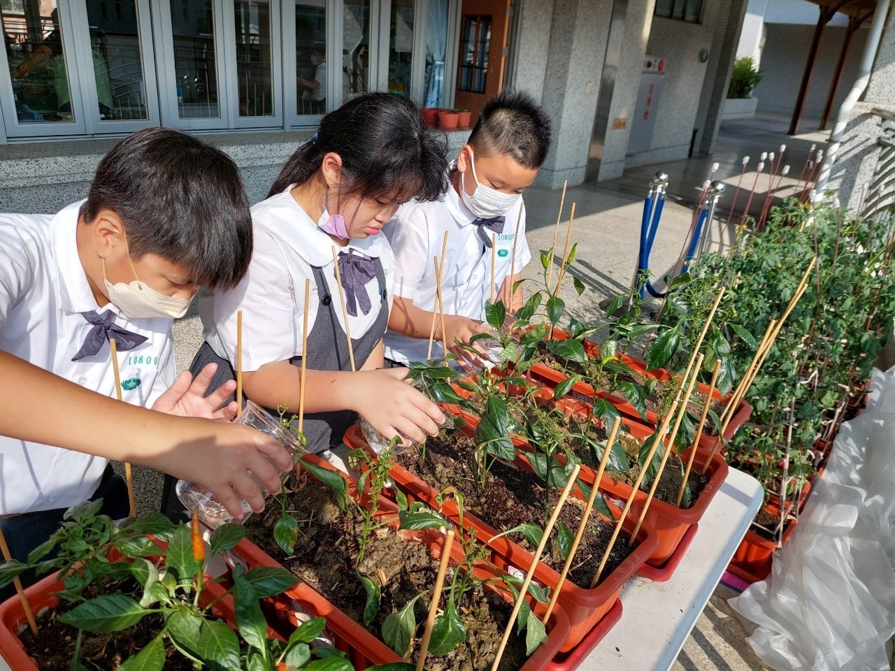 疼惜大地「菸」續物命 臺南慈小科展獲佳績