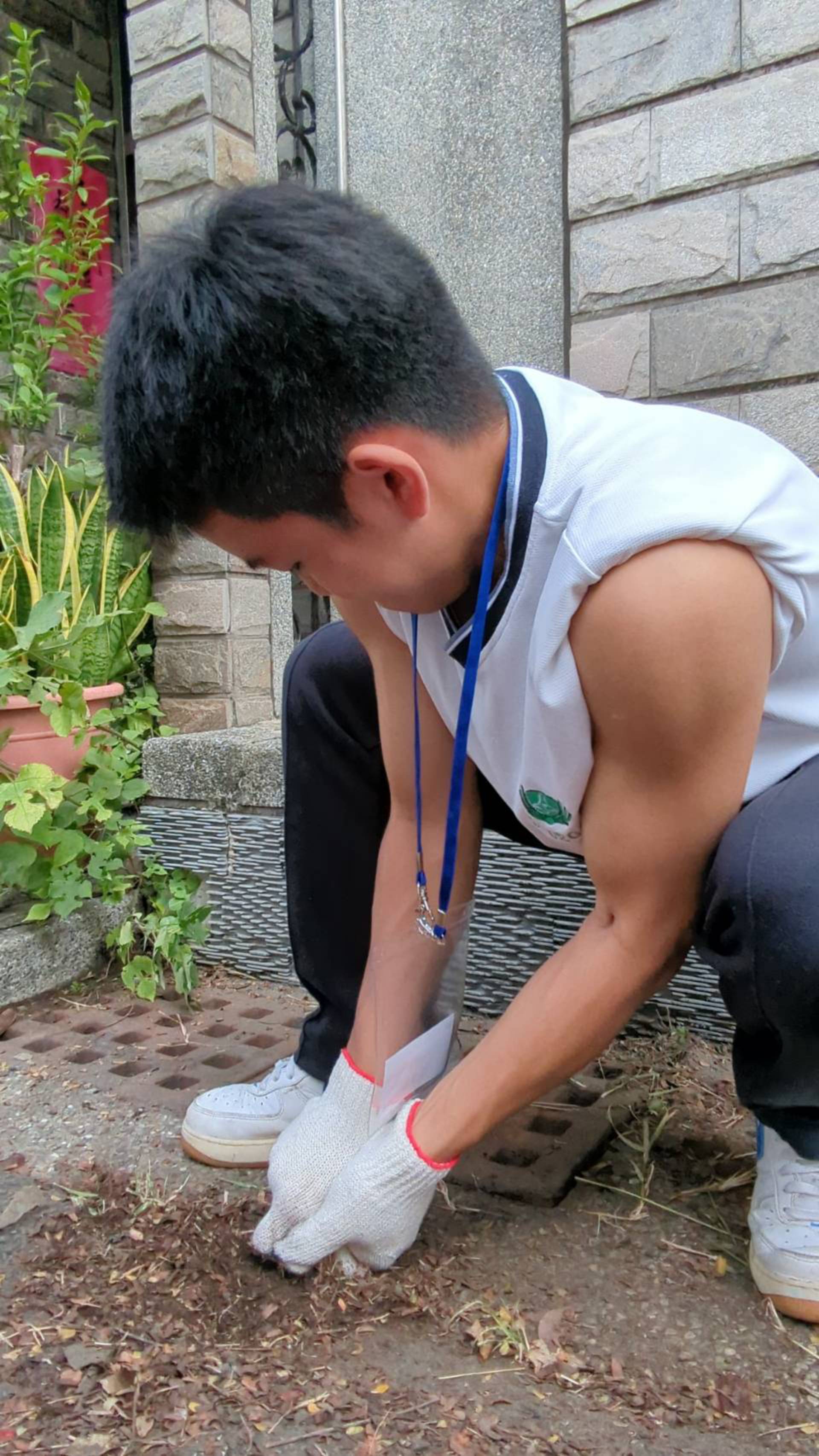 學生使出洪荒之力，努力將路邊的雜草拔除。
