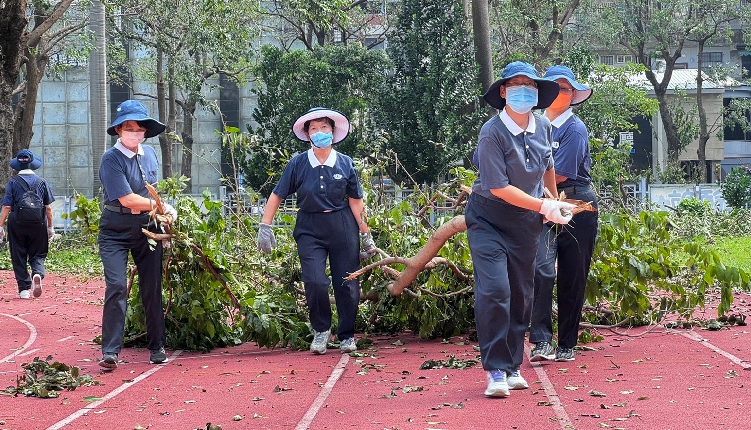 根據高雄市政府災害統計資訊，路樹災情累計件數(不含公園樹木)截至10月5日統計達2269 棵。
