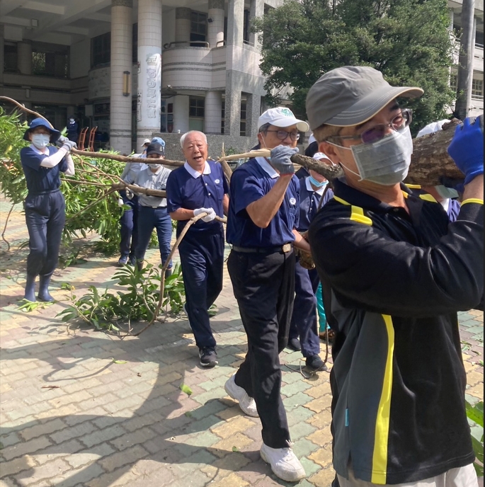 根據高雄市政府災害統計資訊，路樹災情累計件數(不含公園樹木)截至10月5日統計達2269 棵。