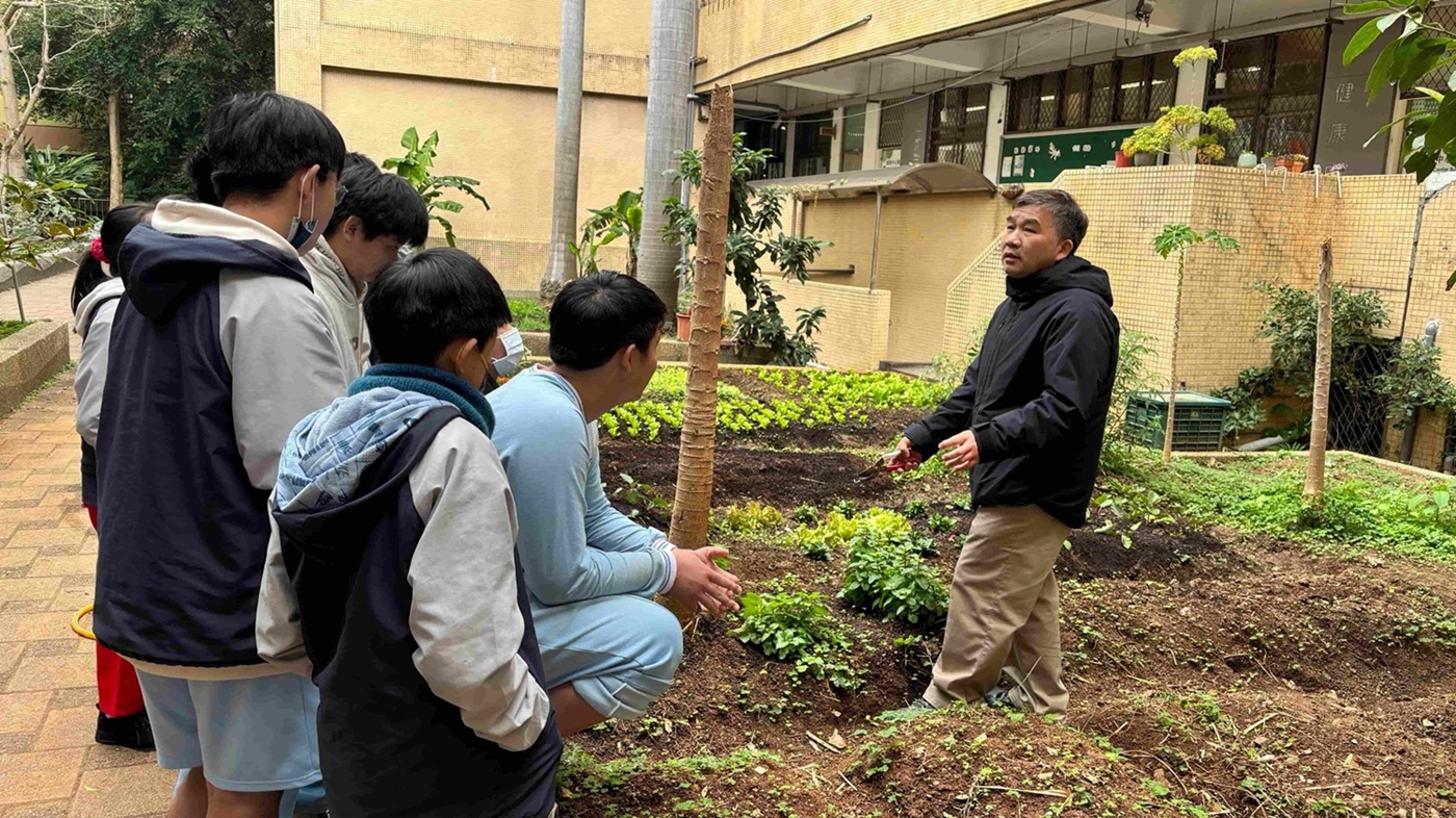 臺北市石牌國中小田園的社團課程，四季皆有不同作物，提供豐富的教學素材