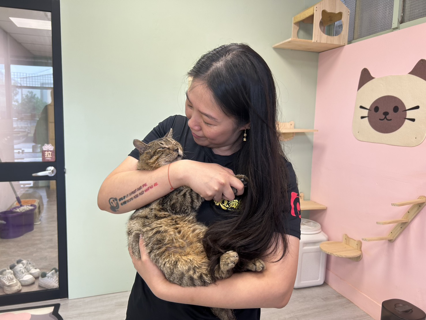 闆娘抱著恢復健康在店內等待認養的虎爺。