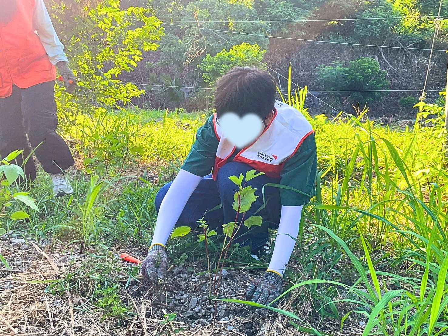 展屏青年在田間體驗原住民傳統農耕文化