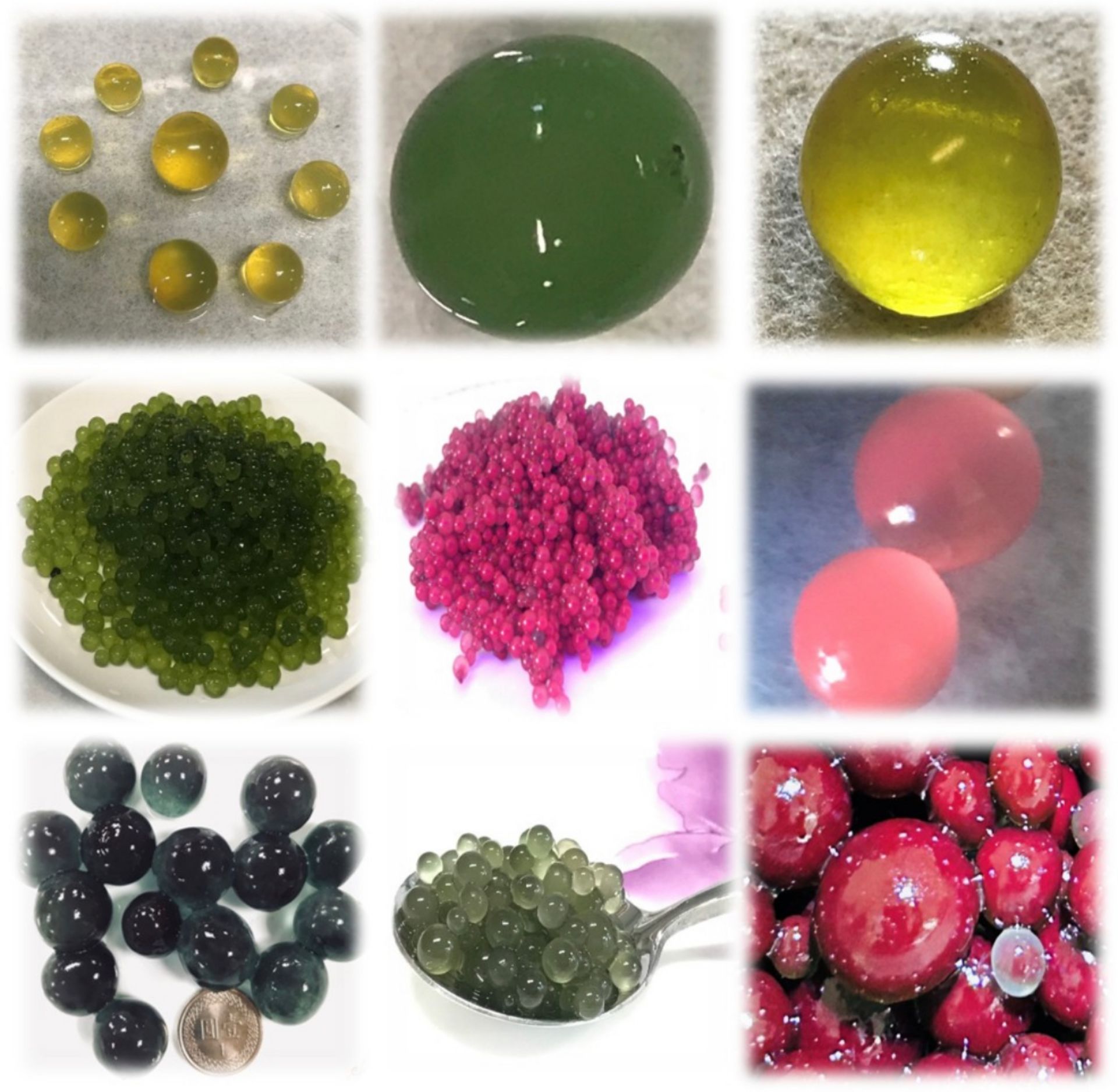 雨來菇創新材料之多元應用