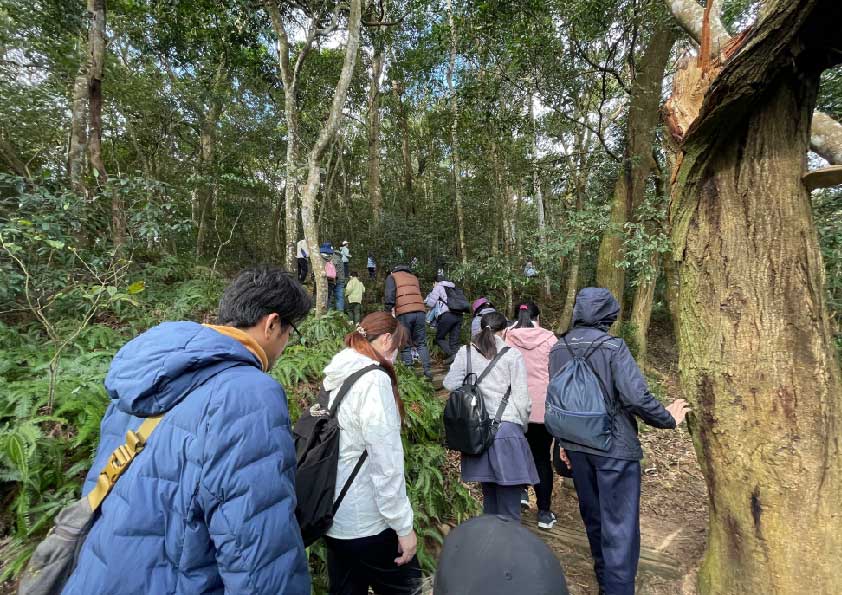 大家沿著四月雪小徑拾級而上,前往三義茶園。