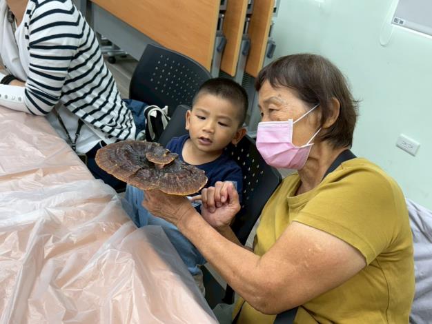 祖孫玩很大，神奇菇菇體驗。