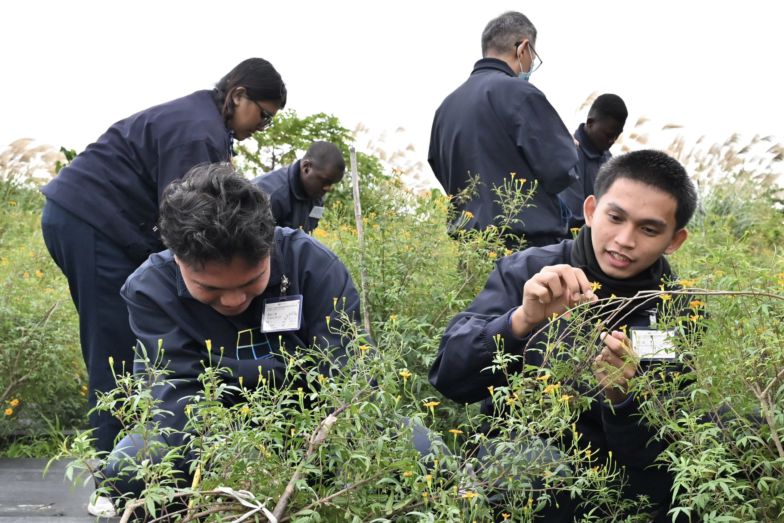 國際慈青在花蓮靜思精舍體驗農禪生活過聖誕