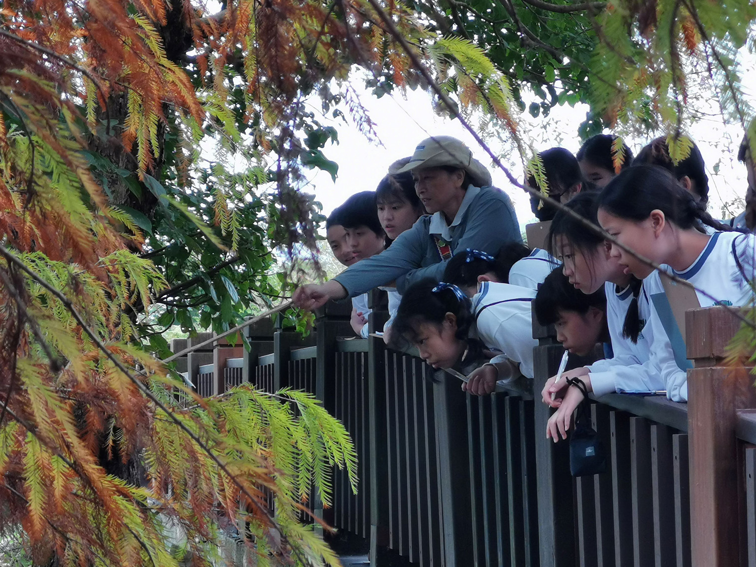 學生於馬太鞍溼地實地觀察溼地環境與水域生態。
