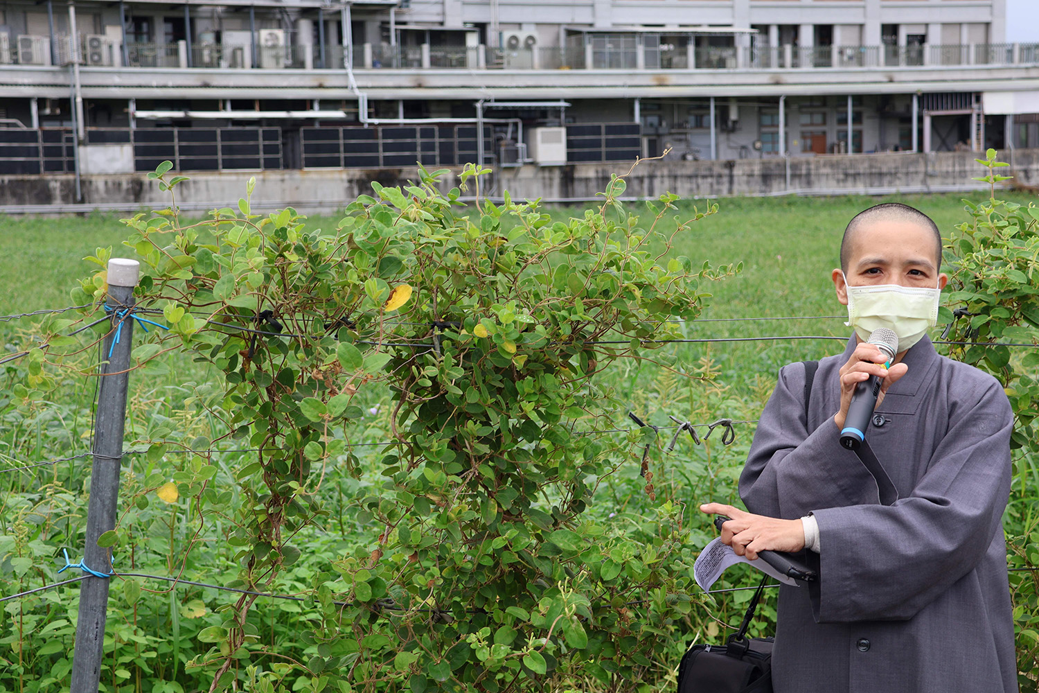 在德瑔師父引導下，學生走入精舍園區，學習辨識並採摘月亮玫瑰與金銀花。