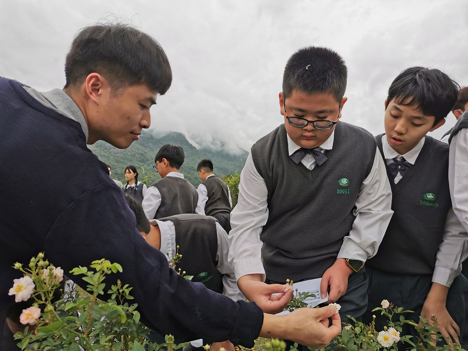 透過實地觀察，學生學習辨識月亮玫瑰植株特徵。