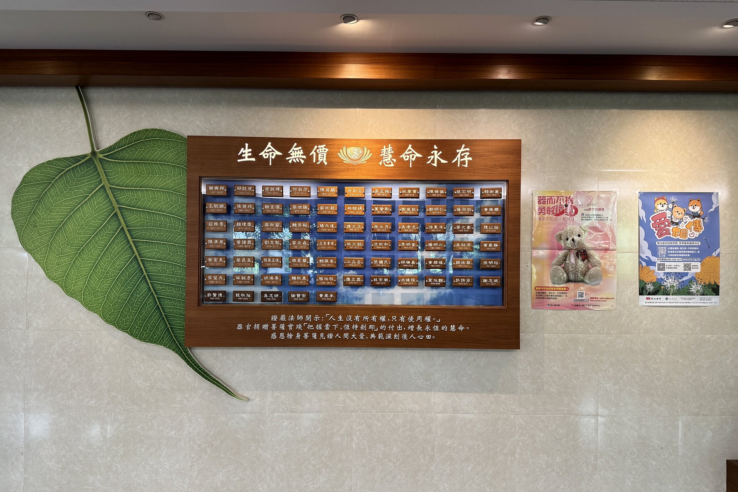 台中慈濟醫院大廳的器捐牆，記錄著一份份生命傳承的愛與承諾，也喚起眾人對器官捐贈的關注與省思。