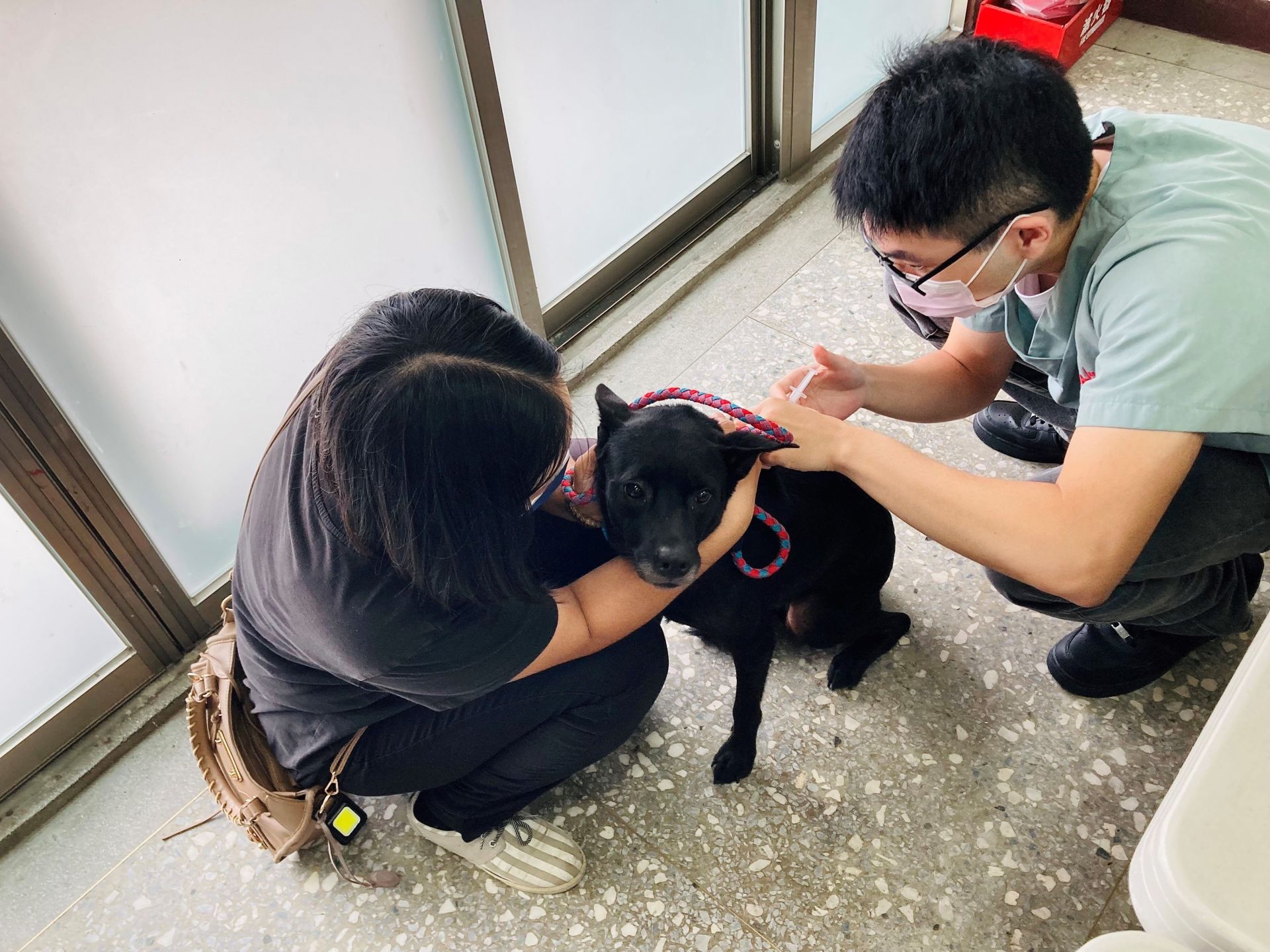 幫毛孩做好寵物登記是飼主應盡的責任