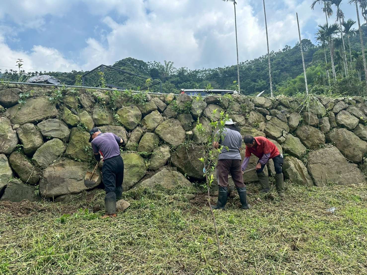 雲林縣政府持續持續於華山、樟湖及草嶺地區推動螢火蟲棲地復育計畫。縣府持續持續於華山、樟湖及草嶺地區推動螢火蟲棲地復育計畫。