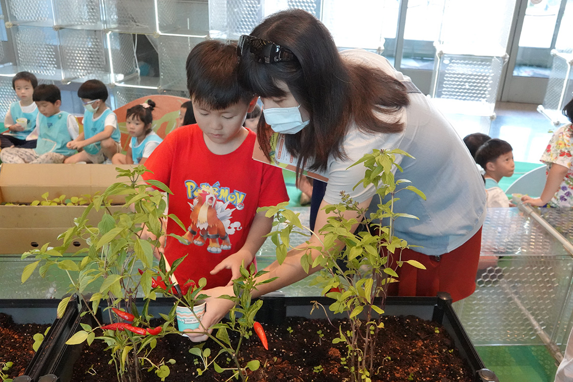 新北市政府農業局8月4至15日新北市府一樓大廳辦理「2025新北市食農教育展－野菜學園祭」(資料照片)