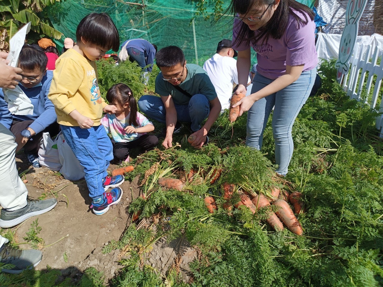 南市「食農遊學地圖」結合活動受到熱烈回應