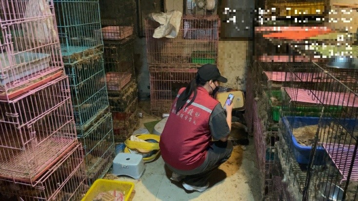 嫌犯家仍飼養大量貓隻。