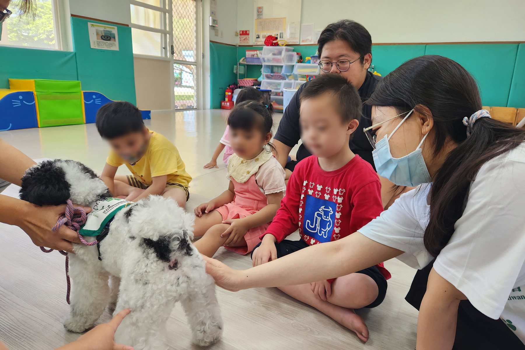 引導幼童觸碰治療犬錢錢，感受毛的觸感