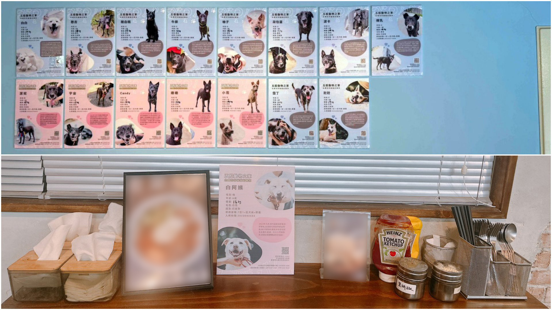 宣傳海報放在店家顯眼處(下)。牆面亦有宣傳海報。(上)