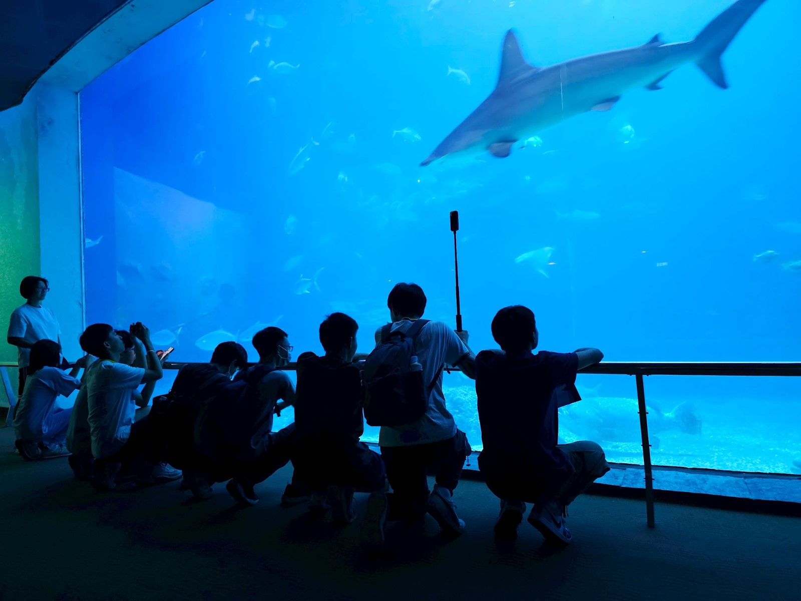 海生館由導覽人員說明深海展示區的海域生態，學生專注聆聽導覽解說。