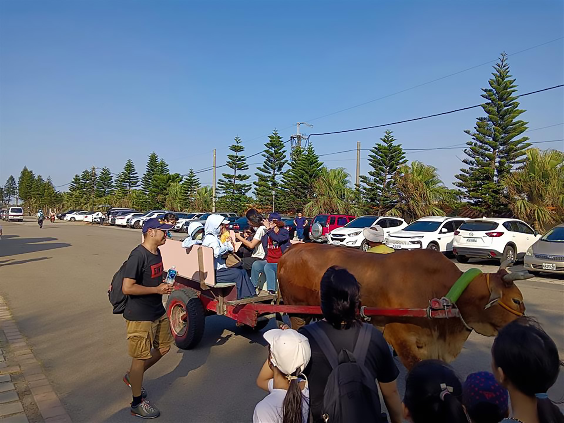 王功海牛文化基地