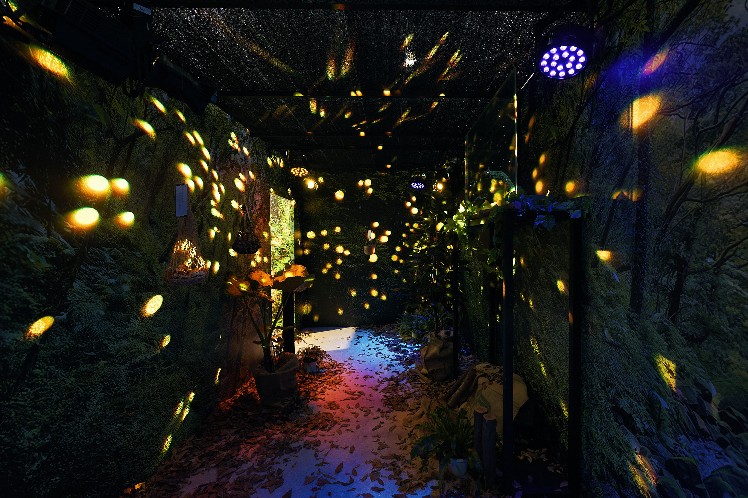 2025ITF台灣館夜間森林五感體驗