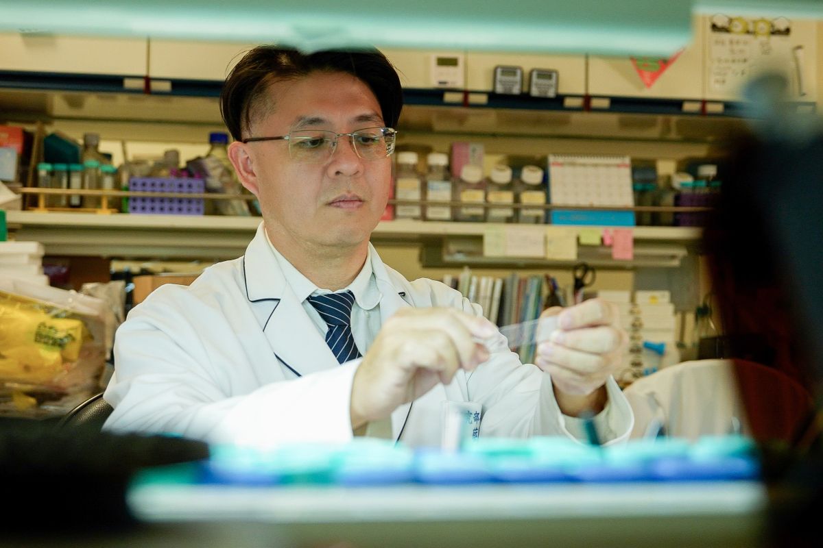 透過AI模組協助病理切片判讀，協助醫師與研究人員快速完成影像分類與統計。