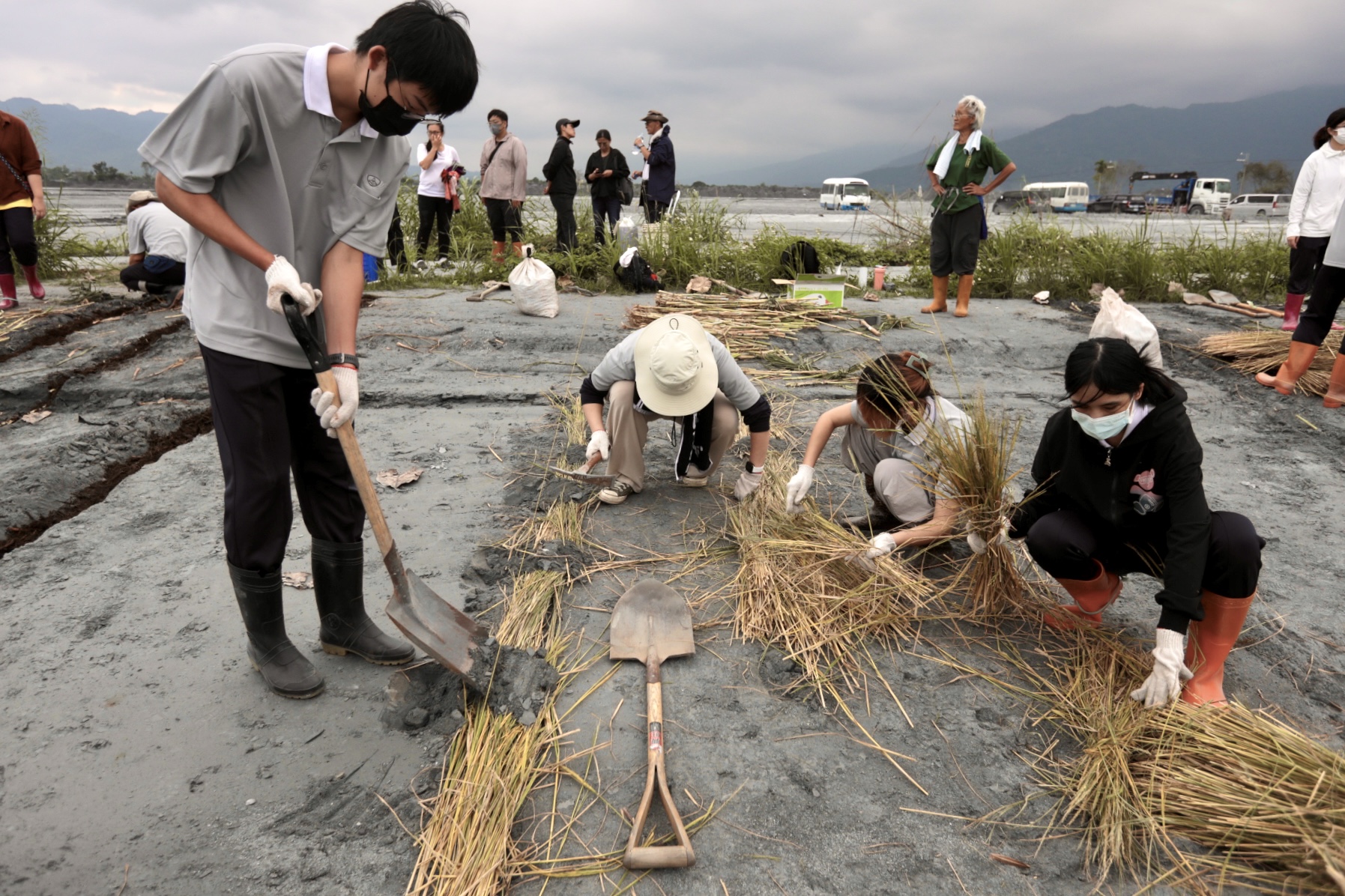 堰塞湖潰流後帶來大量泥沙與粉塵,讓土壤貧瘠。採不同的覆蓋資材來進行試驗。