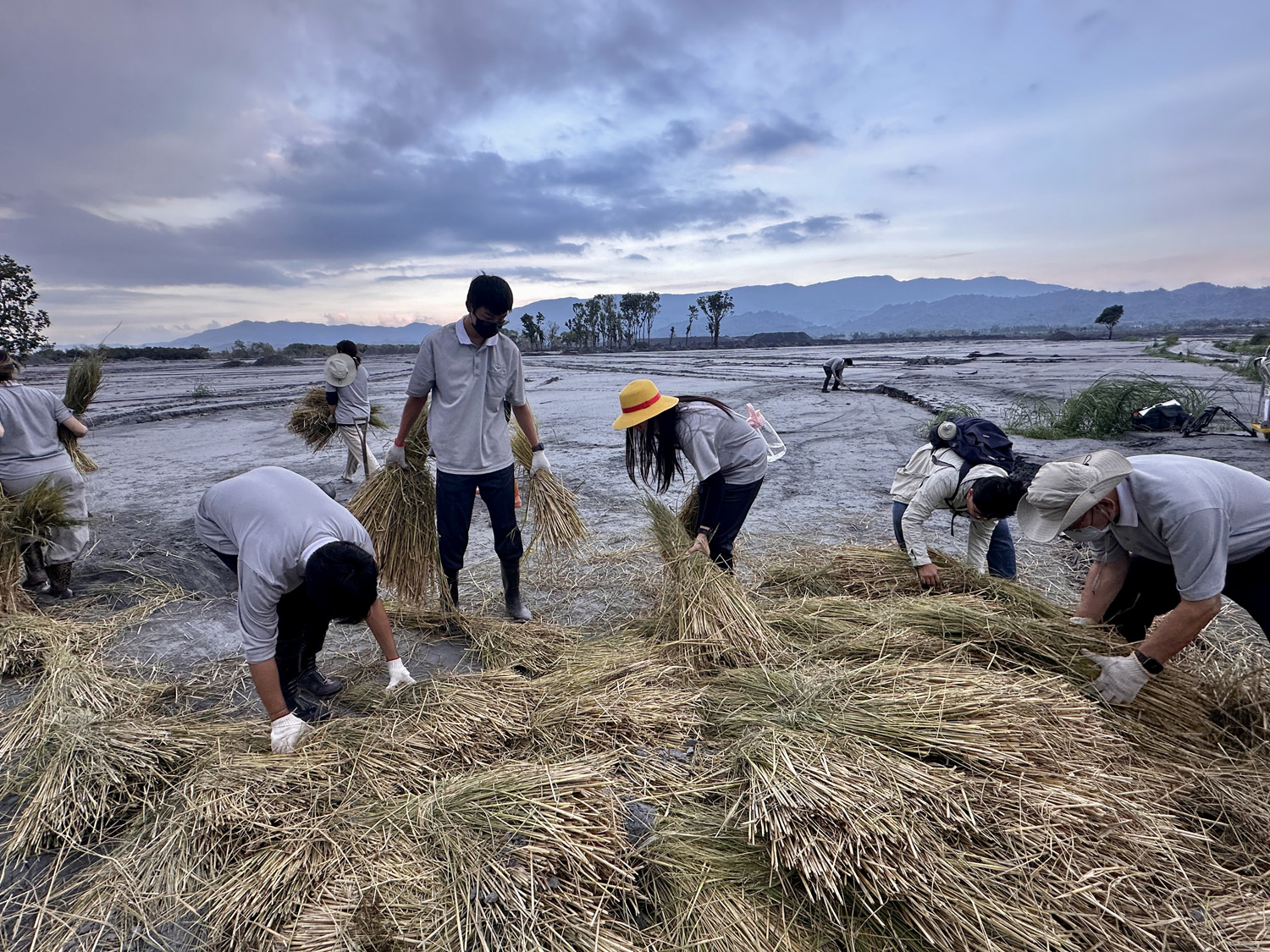 usr團隊種植先驅型植物,探討哪種耕作方式最能有效讓土地重新長回生命。