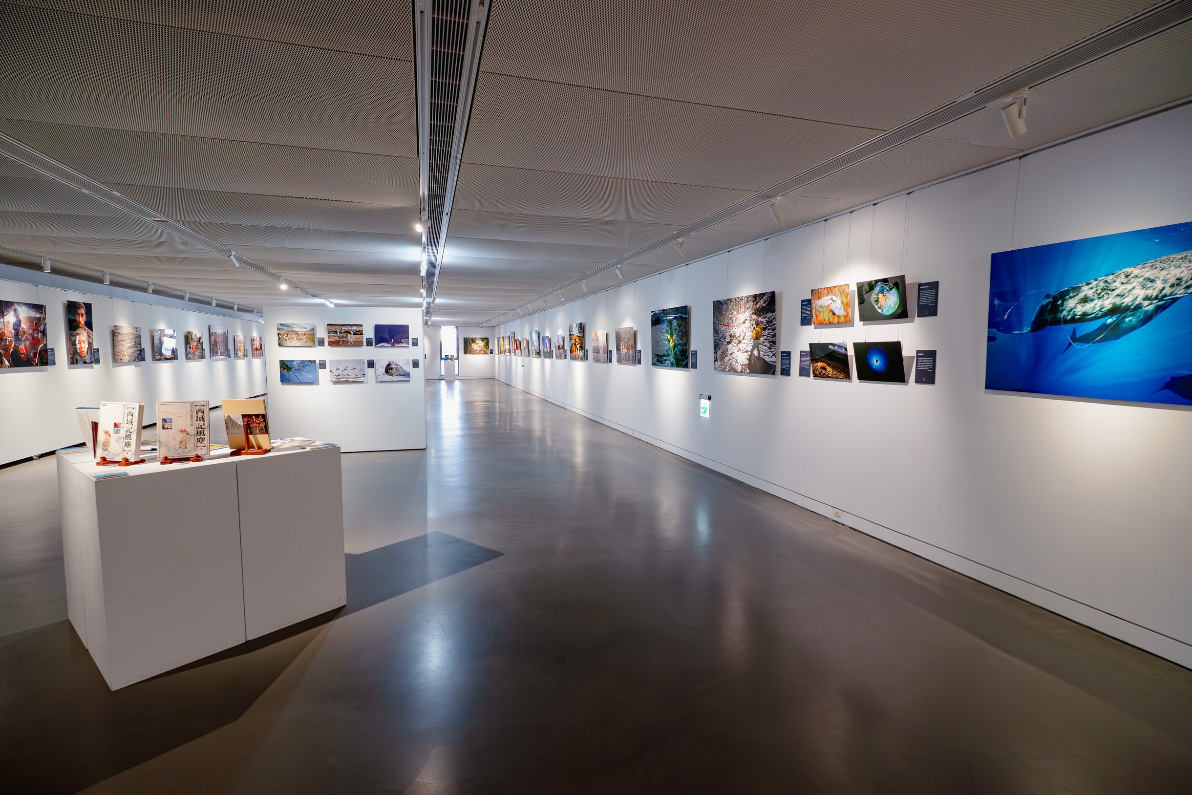 本次展覽展出超過八十幅攝影、插畫作品，邀請觀眾透過影像，感受不一樣的世界。