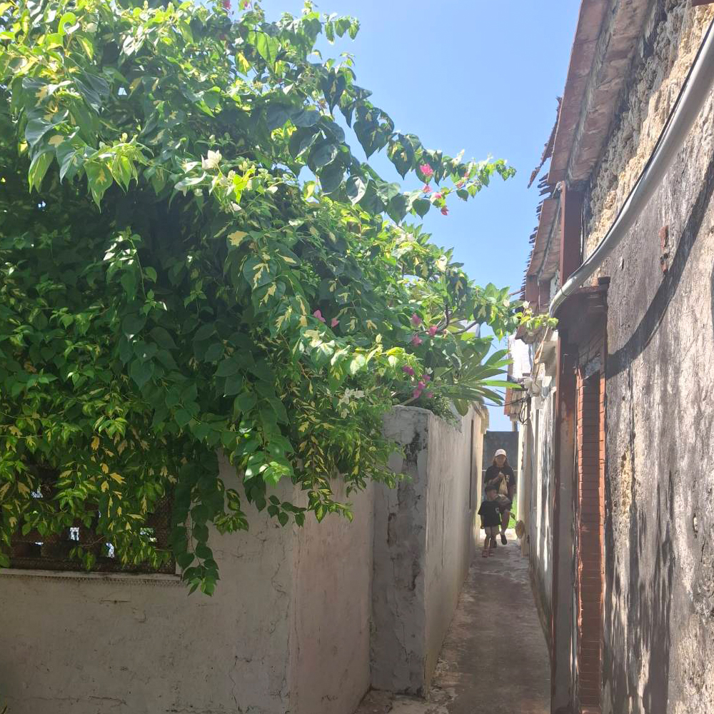 美麗的小巷弄充滿詩情畫意