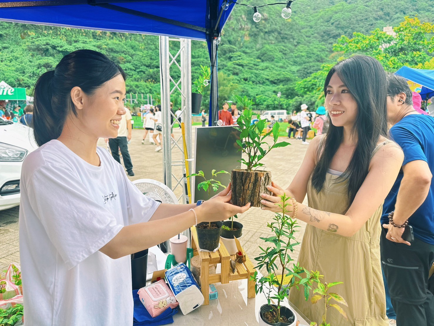 民眾領取樹苗